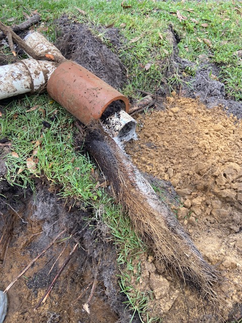 Orlando Remodel Phase 1 Repipe