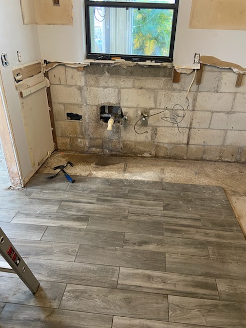 Mold Remediation