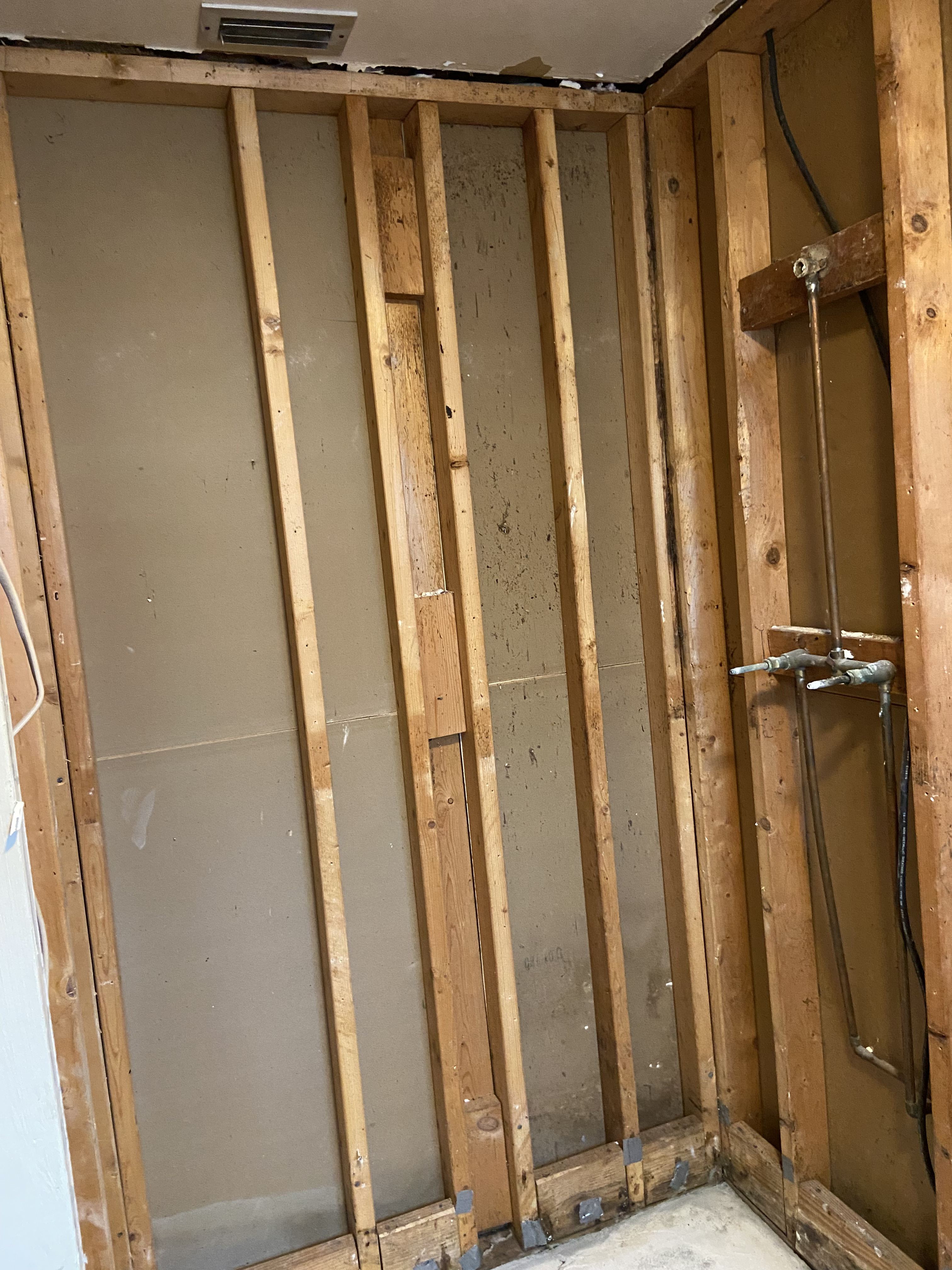 Shower Remodel